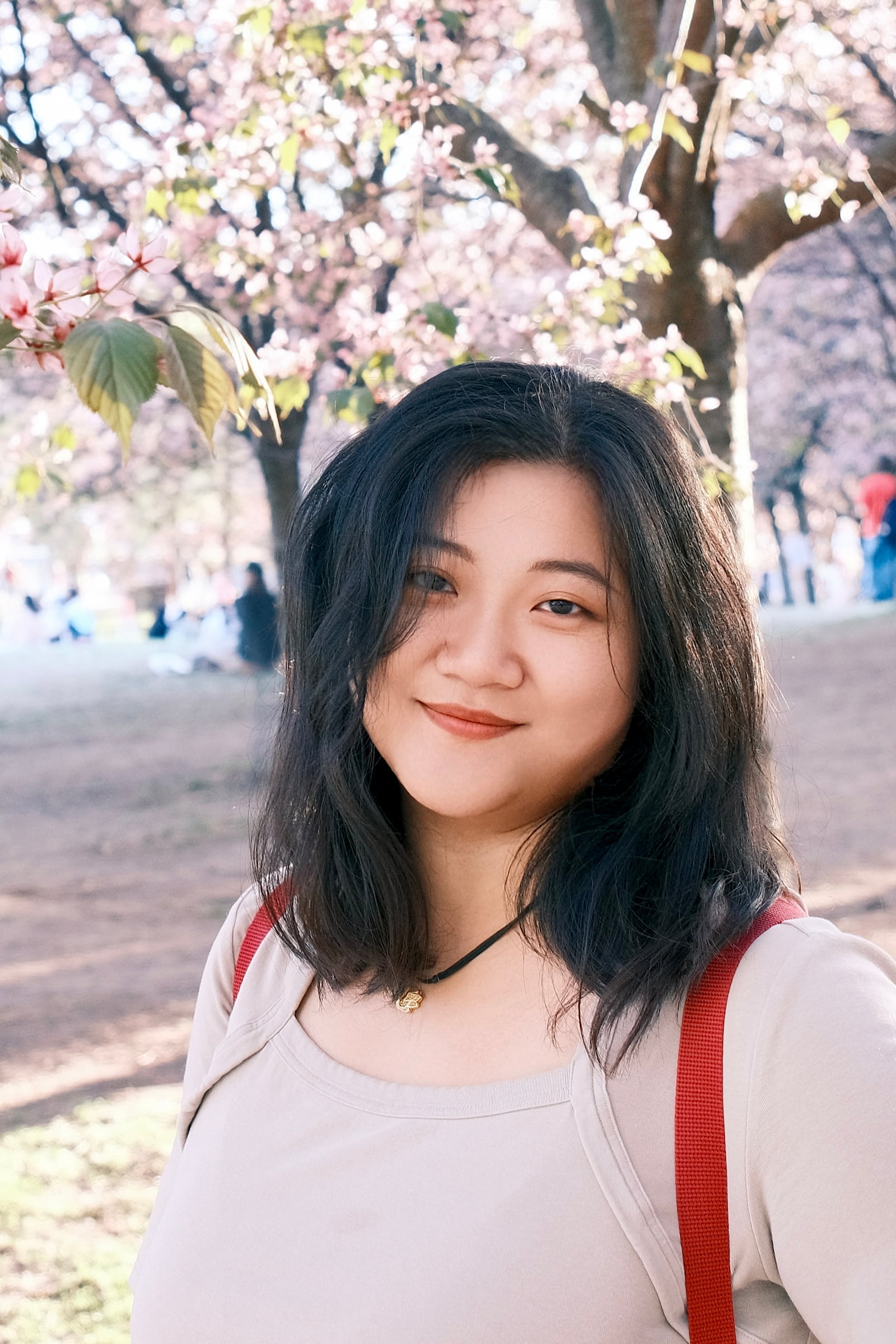 Yajing Wang